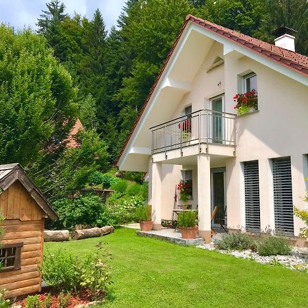 Homeslovenia - Your Home In The Heart Of Slovenia Selca Exterior photo